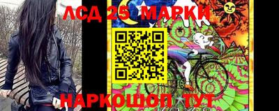 молекула духа Кулебаки