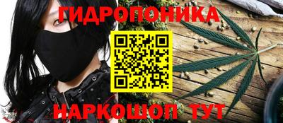 молекула духа Кулебаки